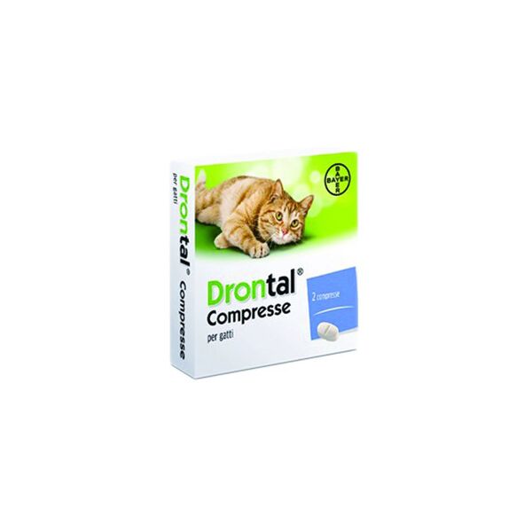 drontal gatto trattamento antiparassitario 2 compresse