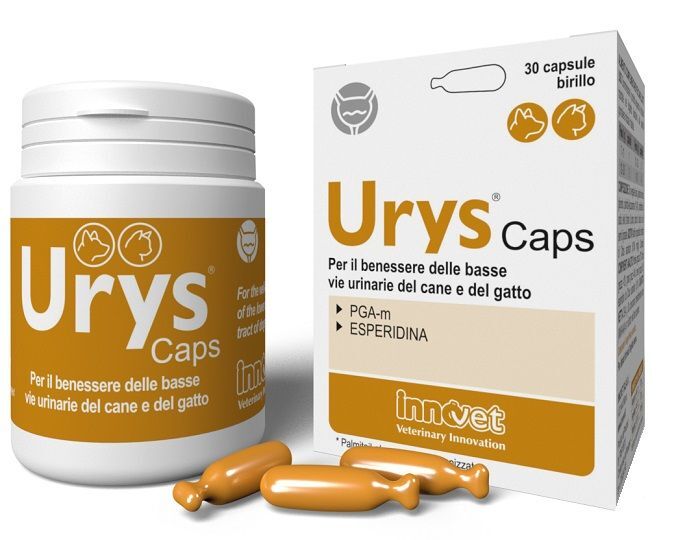 Innovet Urys Caps Integratore Vie Urinarie Animali 30 Capsule