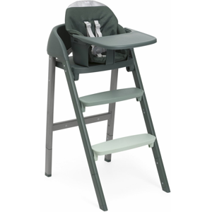 Chicco Seggiolone Crescendo Up Sedia Evolutiva Imperial Green