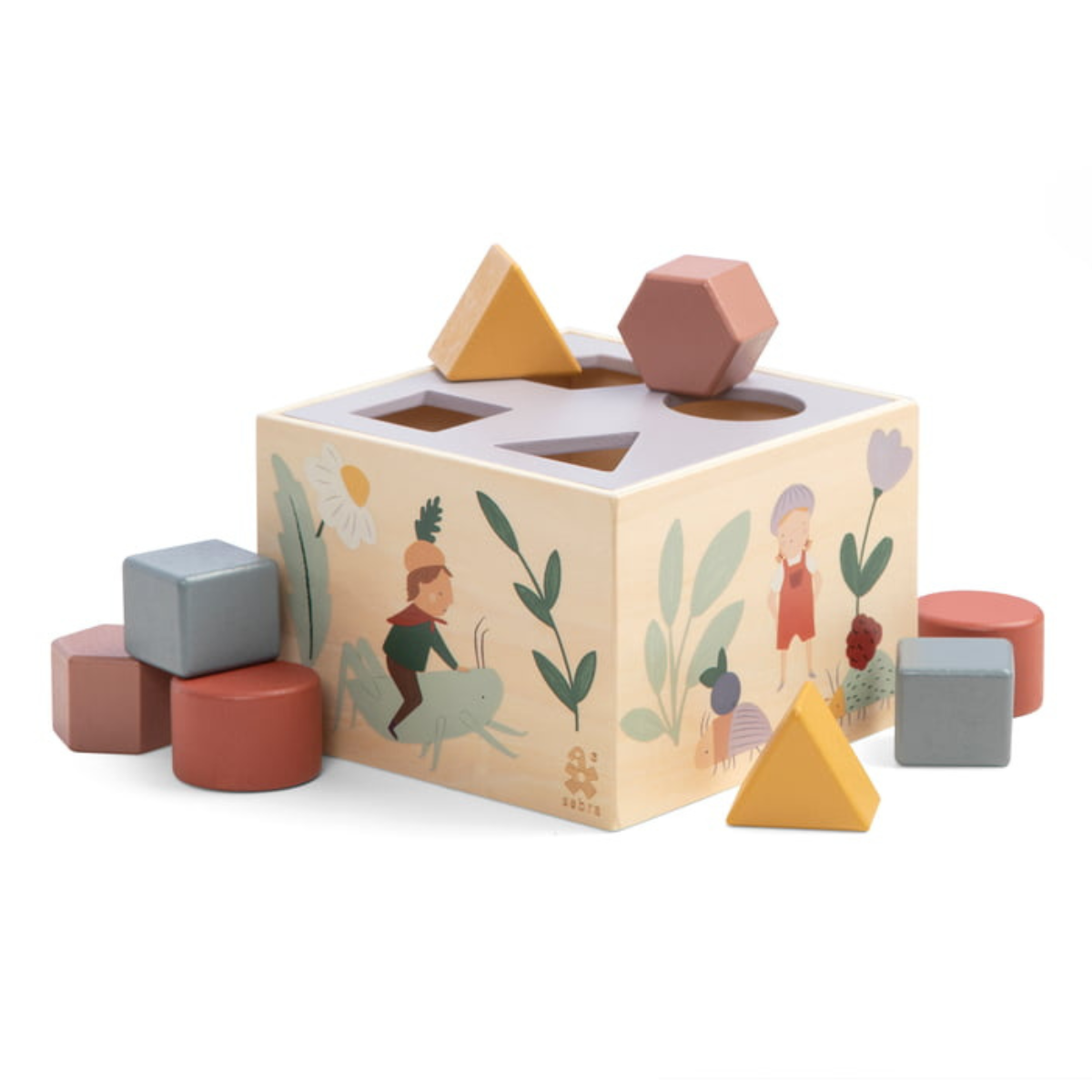 Sebra Gioco Montessori Cubo in Legno con Forme Geometriche Terra dei Folletti