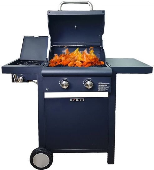 Ke Grill Barbecue Con Cottura A Gas O A Pietra Lavica Ke Grill Ke601 Con Due Bruciatori