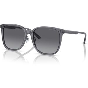 Occhiali da Sole Emporio Armani EA 4206D (5029T3)