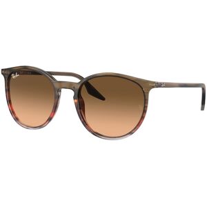 Occhiali da Sole Ray-Ban RB 2204 (13953B)