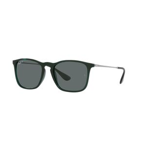 Occhiali da Sole Ray-Ban Chris RB 4187 (666381)