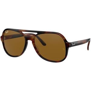 Occhiali da Sole Ray-Ban Powderhorn RB 4357 (954/33)