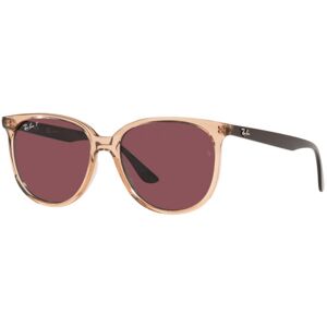 Occhiali da Sole Ray-Ban RB 4378 (66025Q)