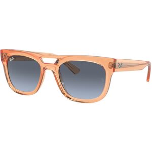 Occhiali da Sole Ray-Ban Phil RB 4426 (66868F)