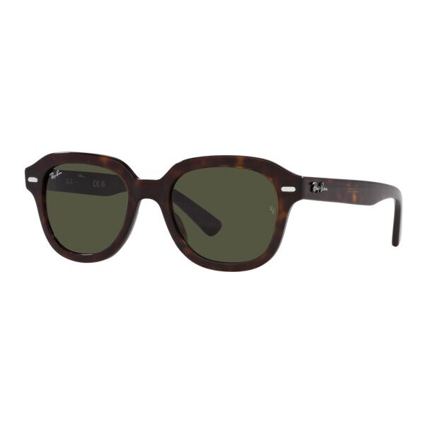 occhiali da sole ray-ban erik rb 4398 (902/31)