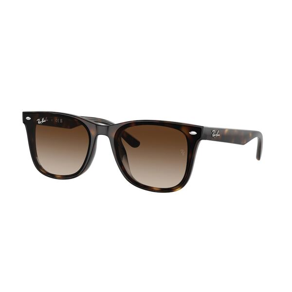 occhiali da sole ray-ban rb 4420 (710/13)