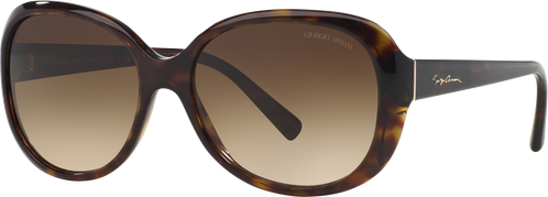 Occhiali da Sole Giorgio Armani AR 8047 (502613)