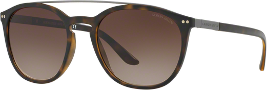 Occhiali da Sole Giorgio Armani AR 8088 (508913)