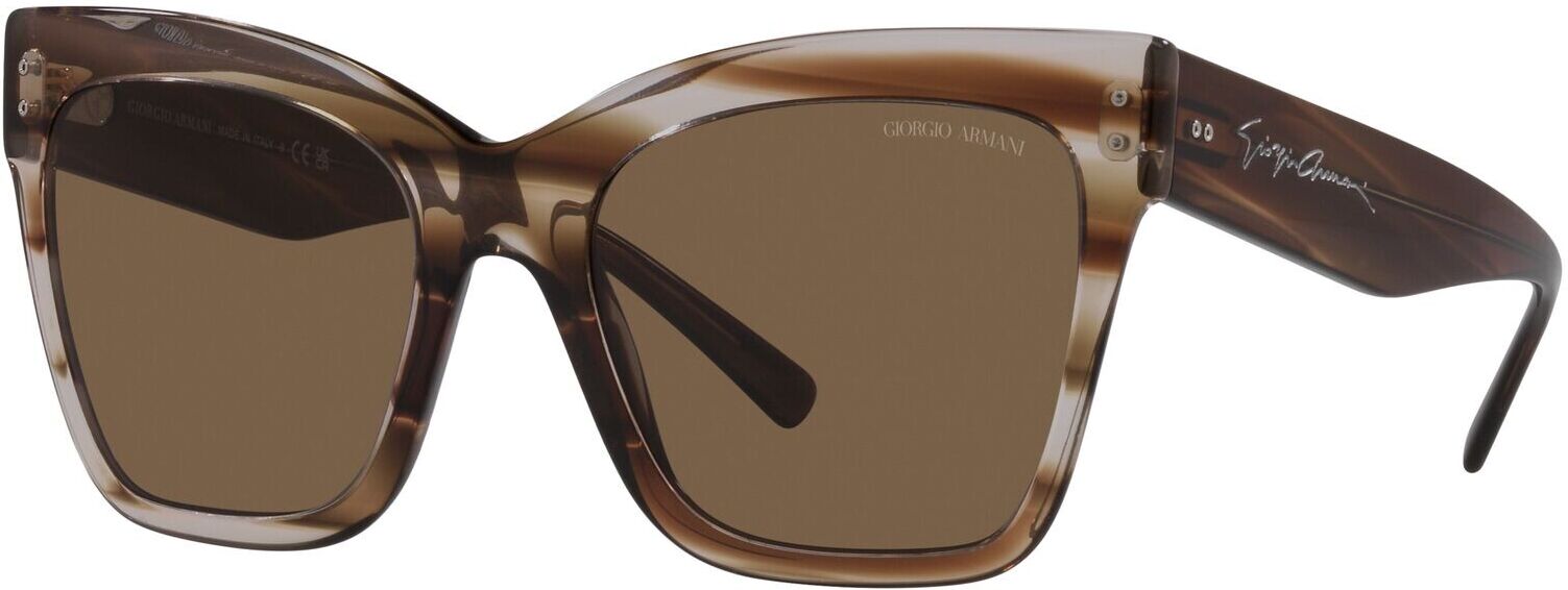 Occhiali da Sole Giorgio Armani AR 8175 (595473)