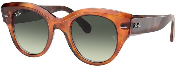 Occhiali da Sole Ray-Ban Roundabout RB 2192 (1325BH)