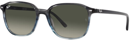 Occhiali da Sole Ray-Ban Leonard RB 2193 (138171)