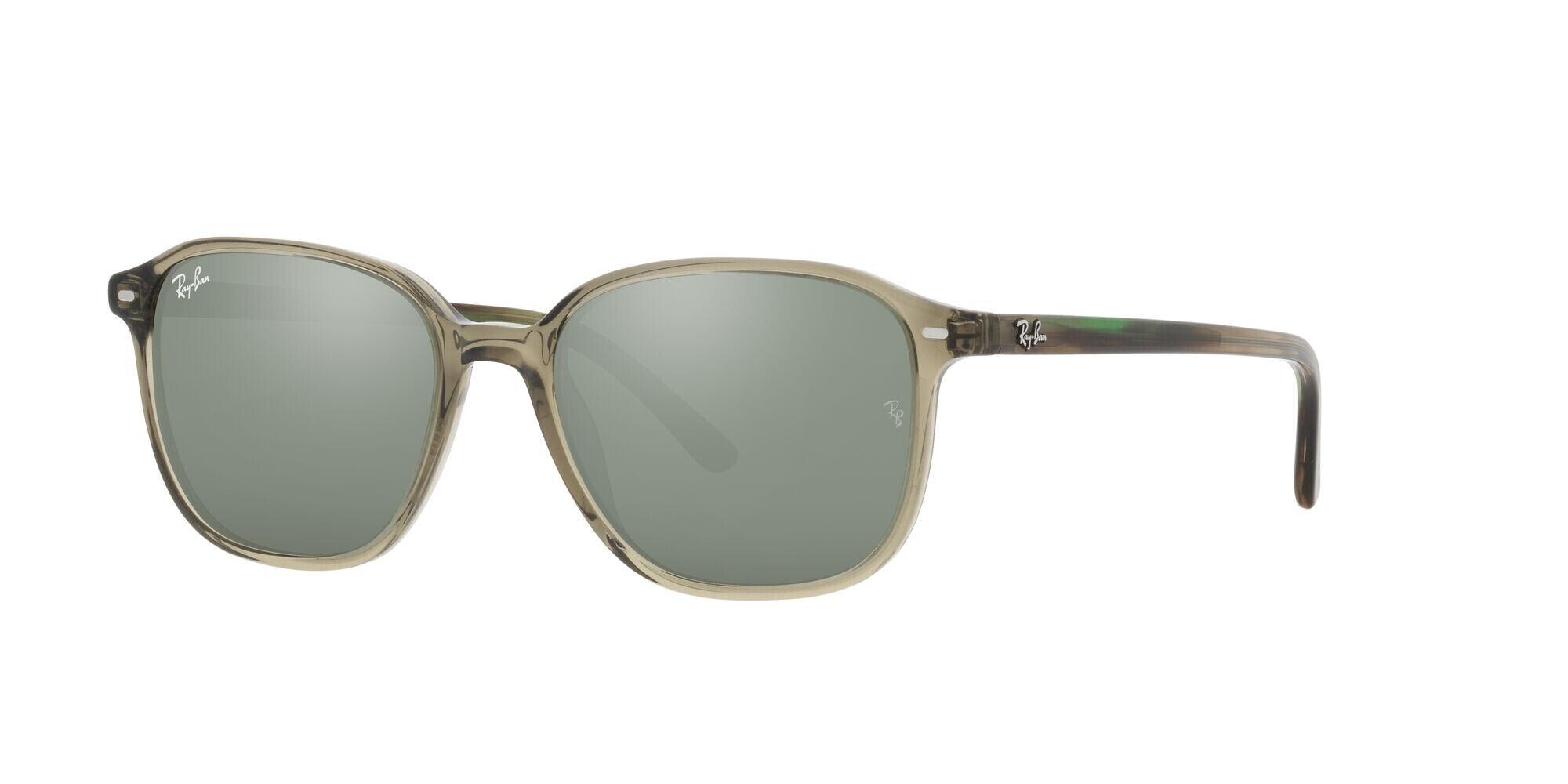 Occhiali da Sole Ray-Ban Leonard RB 2193 (66355C)