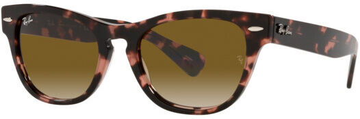 Occhiali da Sole Ray-Ban Laramie RB 2201 (133451)