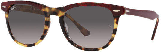 Occhiali da Sole Ray-Ban Eagle Eye RB 2398 (1377M3)