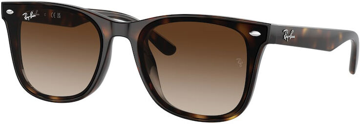 Occhiali da Sole Ray-Ban RB 4420 (710/13)