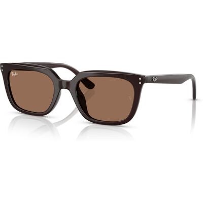 Ray-Ban RB4439D - 623173 Ray-Ban RB4439D - 623173