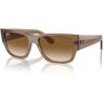 Occhiali da Sole Ray-Ban Carlos RB 0947S (664051)