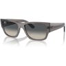 Occhiali da Sole Ray-Ban Carlos RB 0947S (667571)