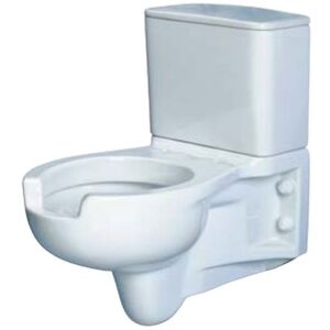 Thermomat Wc Monoblocco Sospeso con Cassetta di Scarico (Disponibile Anche con Funzione Bidet)