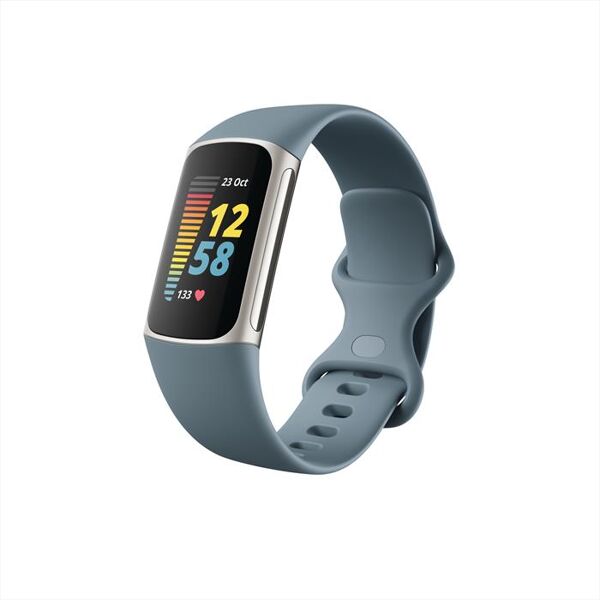 fitbit charge 5-grigio blu / platino