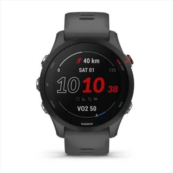 garmin smartwatch forerunner 255-slate grey