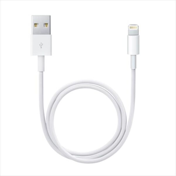 apple cavo da lightning a usb (1m)