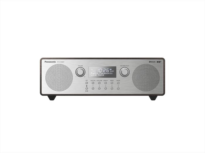 Panasonic Rf-d100btegt-silver