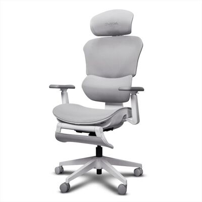 Trust Rivara Sedia Da Gaming Ergonomica In Rete Gxt725w-white Trust Rivara Sedia Da Gaming Ergonomica In Rete Gxt725w-white