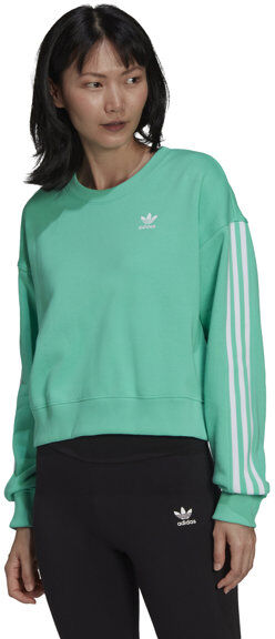 adidas Originals Sweatshirt - felpa -donna Green 46