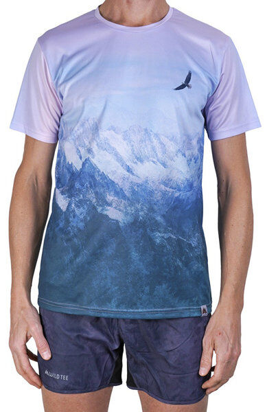 Tee Aiguille du Midi - maglia trail running - uomo Green/Pink/Blue S