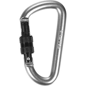 Salewa D-SHAPE Carabiner With Screw - portachiavi Black/Steel