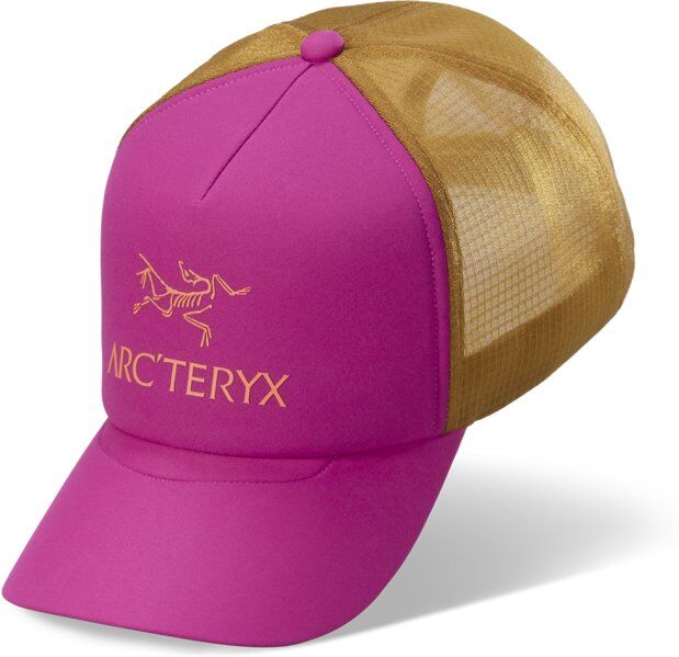 Arc Teryx Bird Word Trucker Curved - cappellino Pink/Brown