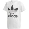 adidas Originals Trefoil - T-shirt - bambino White 11-12A