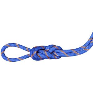 Mammut Alpine Sender Dry 9.0 mm - corda singola/mezza/gemella Blue