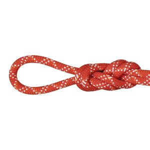 Mammut 9.5 Gym Classic Rope - corda singola Orange 40