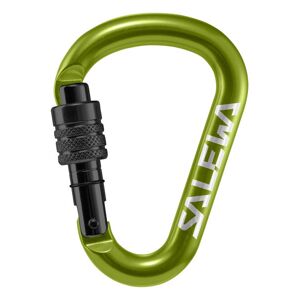 Salewa HMS Screw G2 - moschettone Green S (100 x 72 mm)