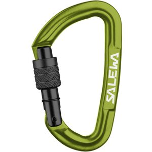 Salewa Hot G3 Screw Carabiner - moschettone Green