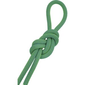 Salewa Speed Queen 9,1 mm - corda per arrampicata Green/Blue