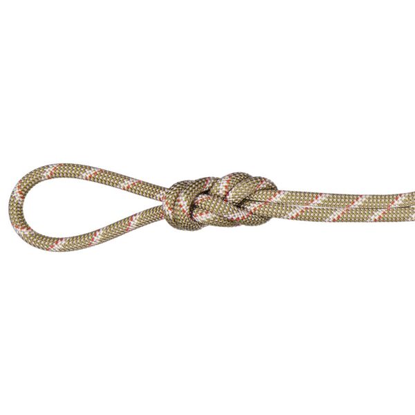 mammut 8.0 alpine classic rope - mezza corda / gemella beige 60