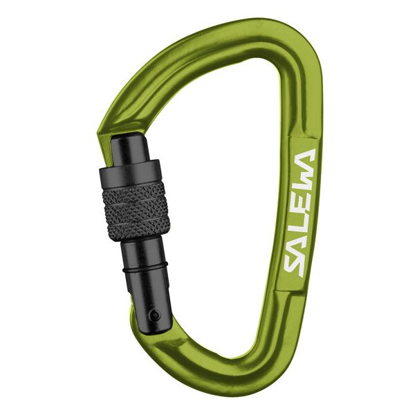 salewa hot g3 screw carabiner - moschettone green