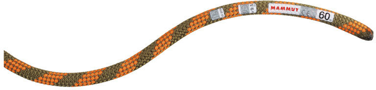 Mammut 9.5 Crag Dry Rope - corda singola Orange 70