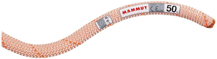 Mammut 9.9 Gym Workhorse Classic Rope - corda singola Light Orange 30