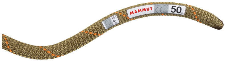 Mammut 9.9 Gym Workhorse Classic Rope - corda singola Brown/Orange 40