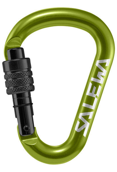 Salewa HMS Screw G2 - moschettone Green M (110 x 72 mm)