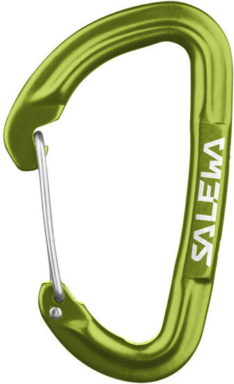 Salewa HOT G3 Wire - moschettone Green