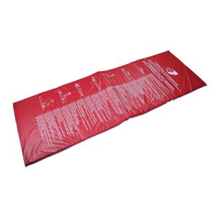 Get Fit Mat with Exercise - tappetino fitness Red/Blue
