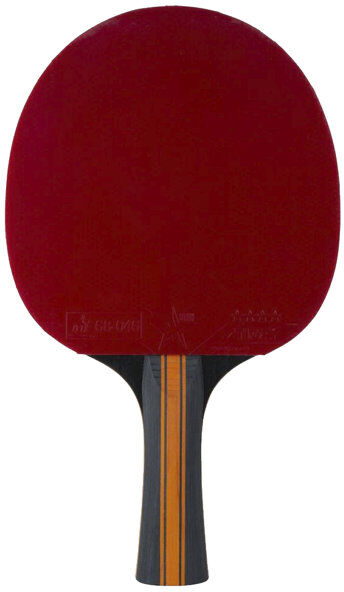 Stiga Vision WRB 4 stelle - racchetta da ping pong Red/Black